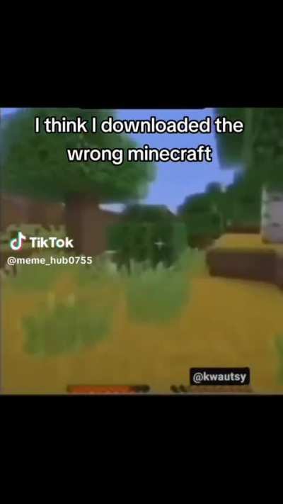 Minecraft..