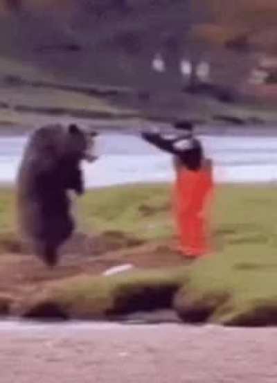 Man Vs Bear