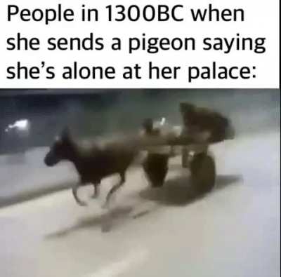 I am speed