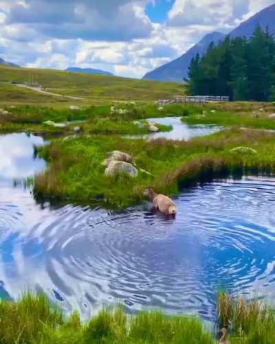 🔥Glencoe, Scotland is the gateway to heaven