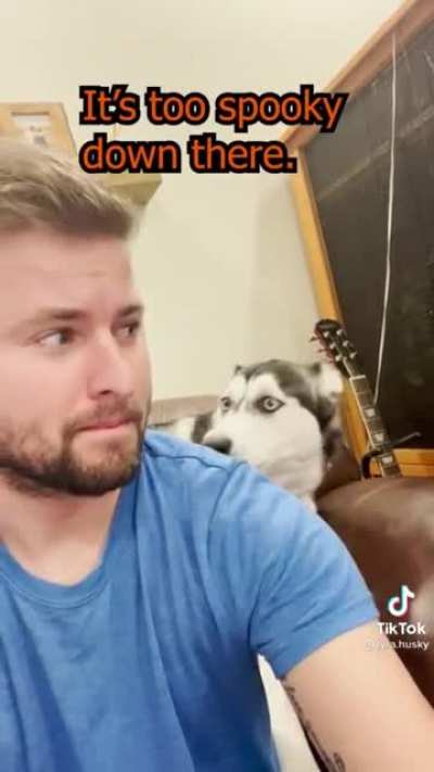 Husky can&rsquo;t live in these conditions