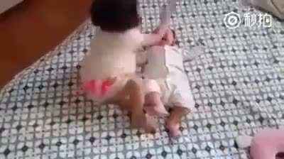 aaaaaaaa (slap) AAAAAAAAAAAAAAAA