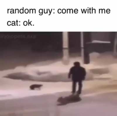 rule