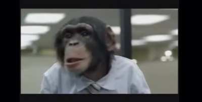 Real Apes don&rsquo;t give a fuck if what the chart says 💎🤲🦍🦍🦍🦍💪🏿