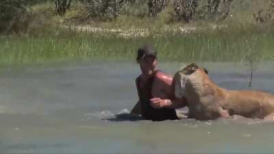 Wild Cat attacks!