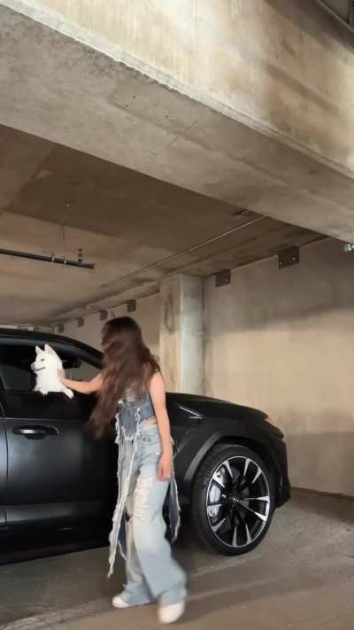 tiktok post