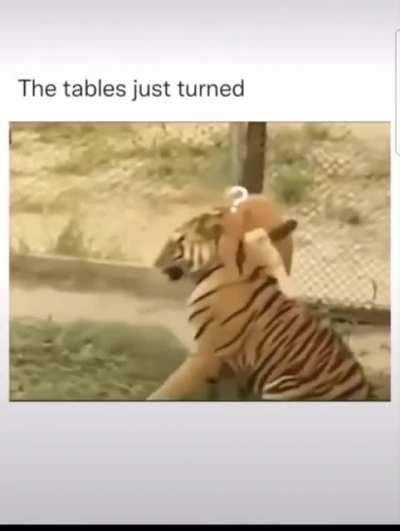How the turns have tabled