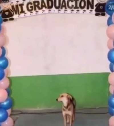 Literal arc