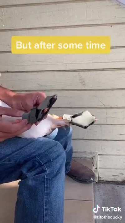 Tito&rsquo;s first time wearing shoes