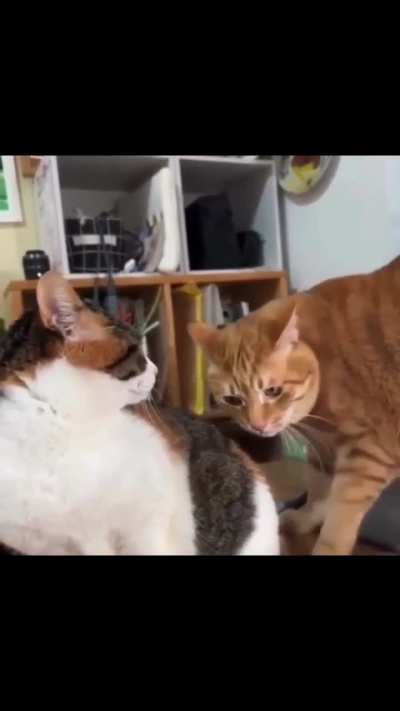Bitey or No Bitey?