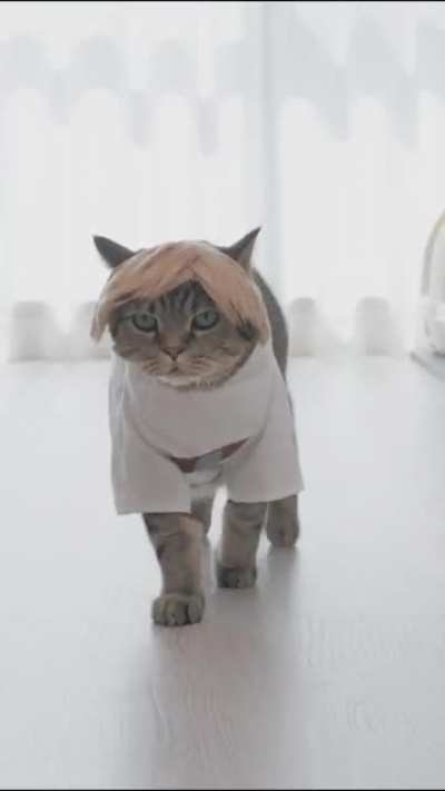 Just saw this Skywalker and it&rsquo;s cute