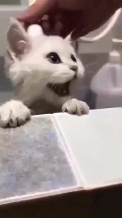 На помощь!