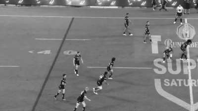 The Tigers Incident
