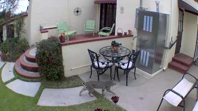 Found this on my Grandma&rsquo;s security cam