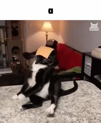 brobdingnagian