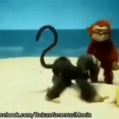 pode macaco tarado no grupo??? 😳👉👈