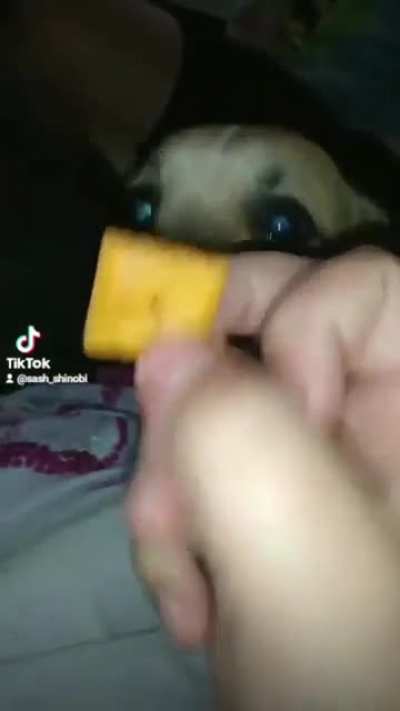 Yo buddy, have a cheezit