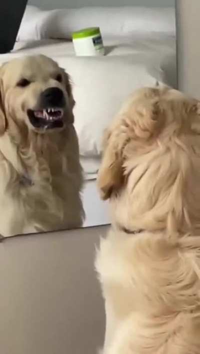 "You are tough. You are strong."