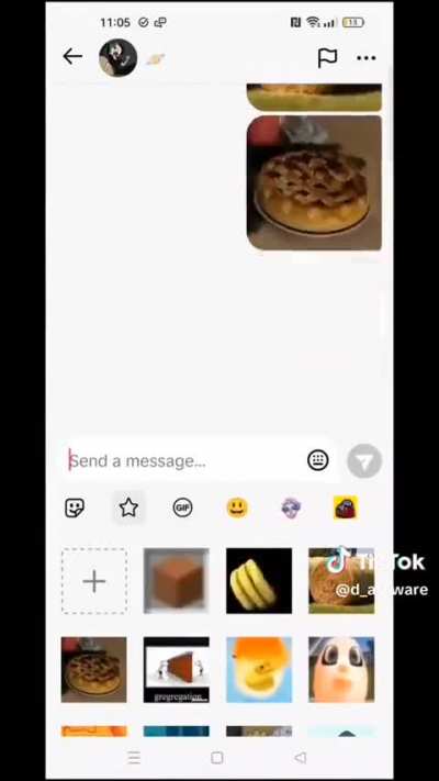 Terracotta Pie