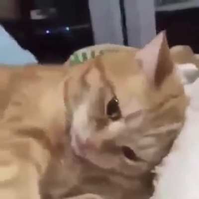 when they wake me for Suhur