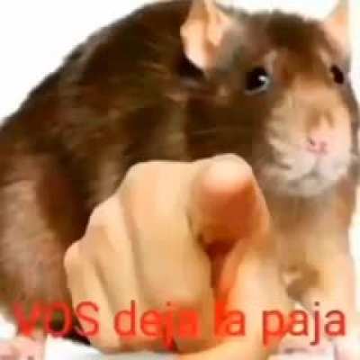 Lo intento pero es dificil