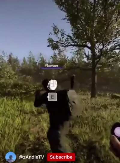 Theforest is beautiful