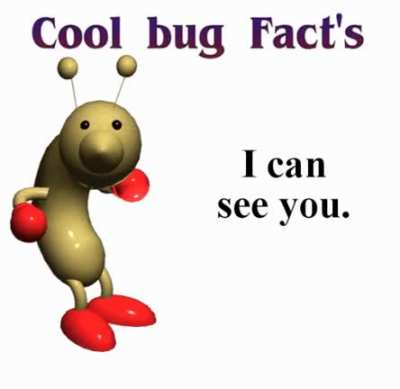 Cool Bug