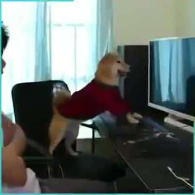 Bro no, please cant stop my videogame