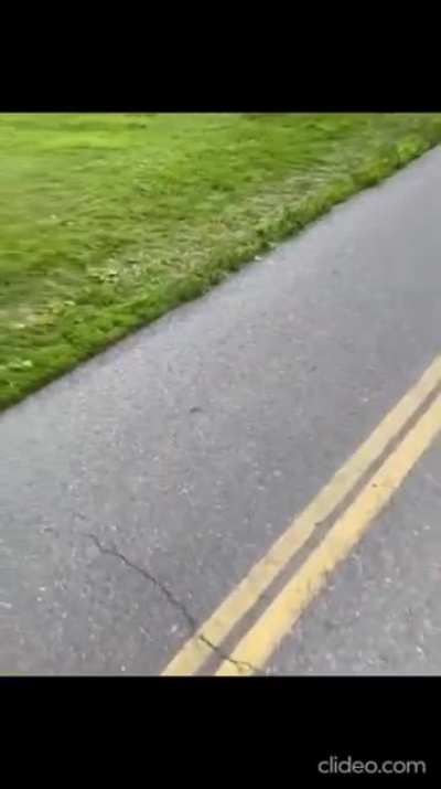 Asian woman gets spat on and called a "stupid ch**k" by a coward on a bike in Calgary Alberta Canada.