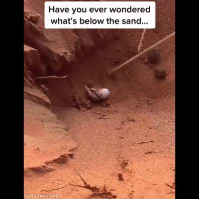 Now you know