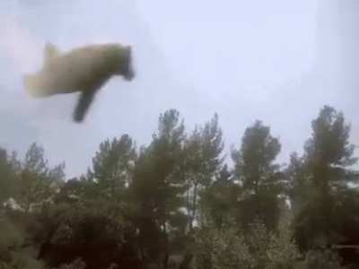 not today