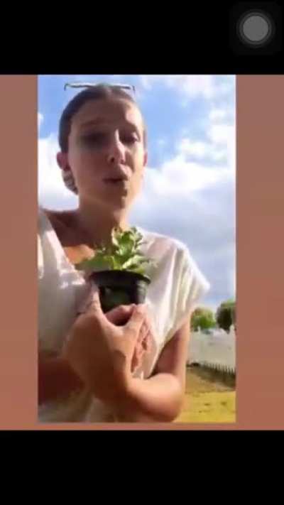 Millie lip syncing