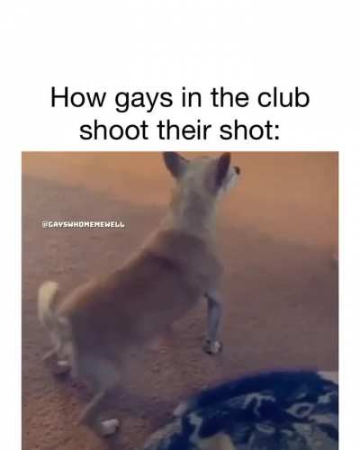 gay💃irl