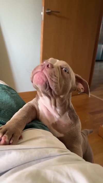 "Uppies, please!"