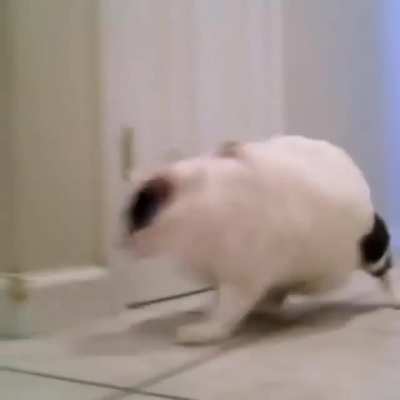 I am speed