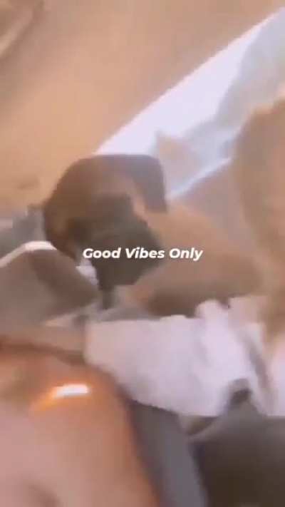 cursed_vibes