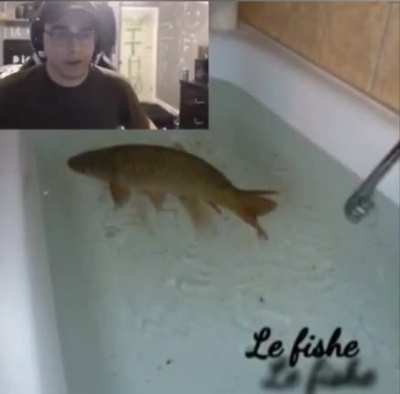 Fishe