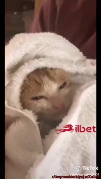 Pozitif video