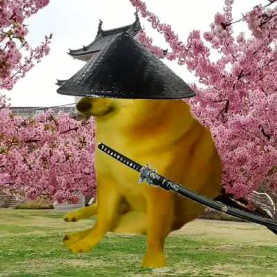 sensei