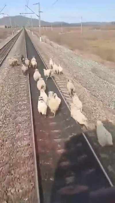 Убежали