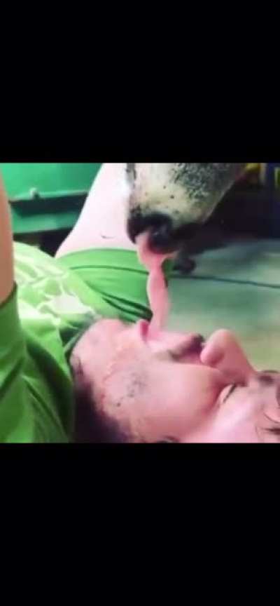 Drinking from a deer