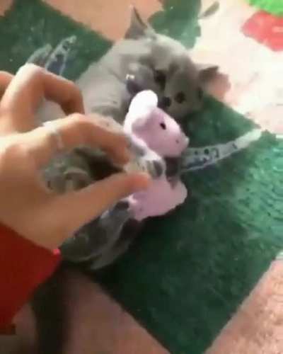It's mine!