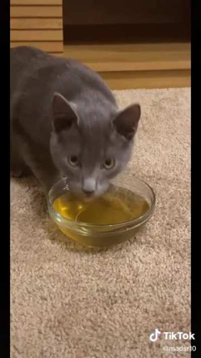 &ldquo;Catnip tea &ldquo; he really do be vibin tho