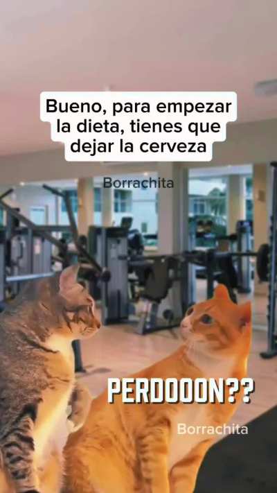 La dieta m&aacute;s bandeada