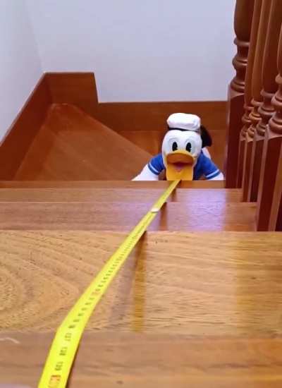 Donald no!!😭