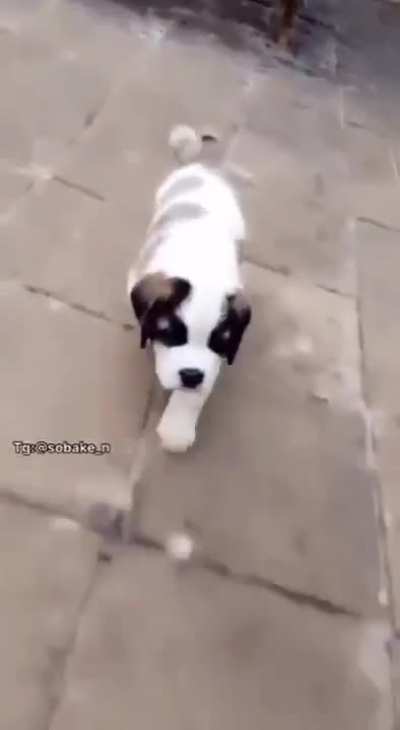 Little big.