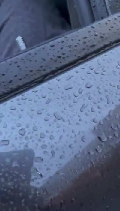 Karen decides to go on a racist rant after her husband rear-ends college students car