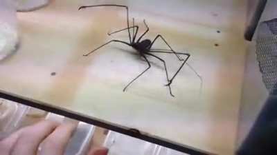 Thanks i hate this fucking thing