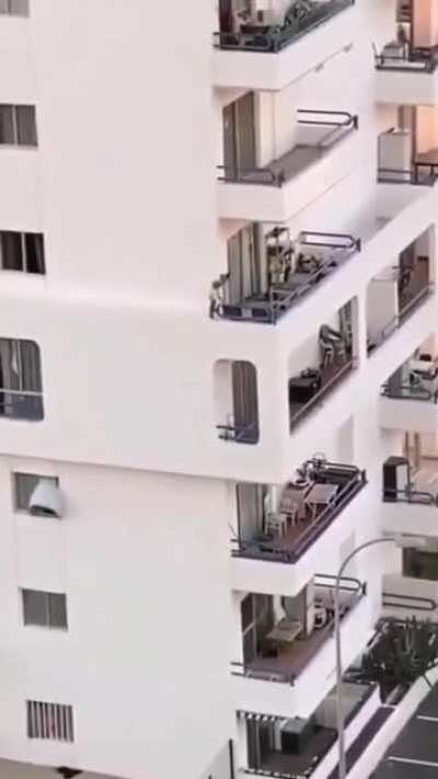 Well this kid is fearless/stupid