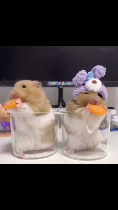 One must imagine Sisyphus as a hamster&hellip;